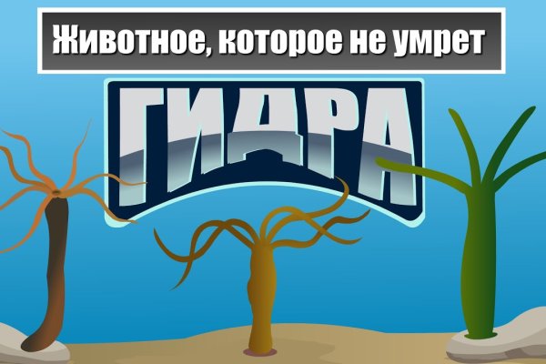 Кракен работает