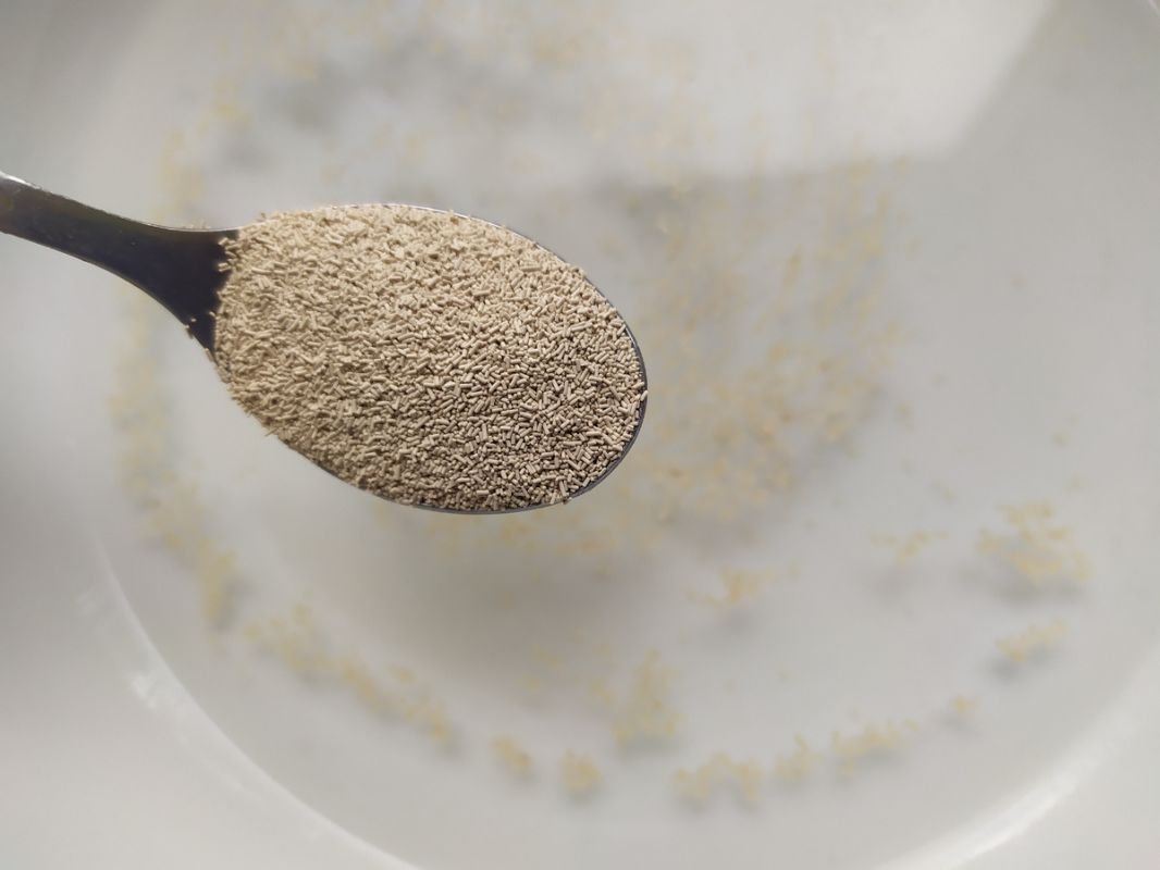 ����������� �� ���� �����: �� ������� �� ��������