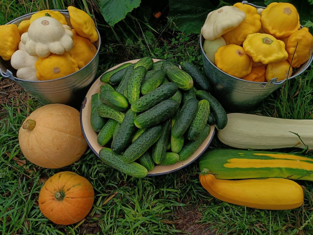 �����: ����� �������� ������ � ��������� �� ���������