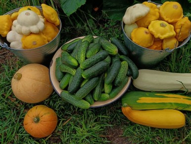 �����: ����� �������� ������ � ��������� �� ���������