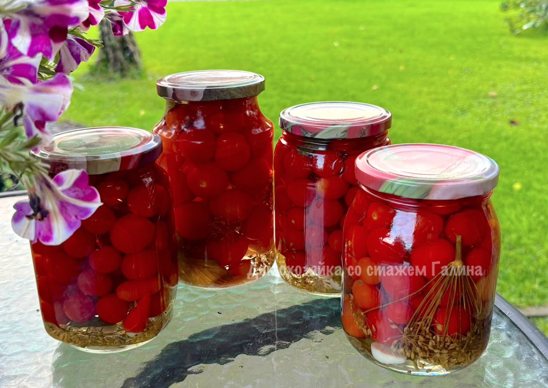 �����-������� ��������: ������� ��������� ���������������