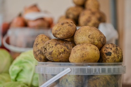 ������������ ����� ���������: �� ������������� �� �������������