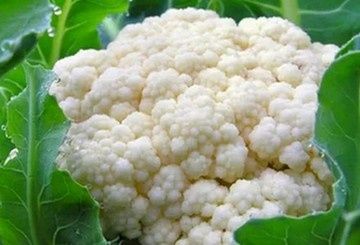 ������ ������ �� ������� �������: ������� �������� �������������