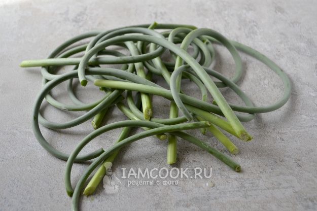 ������ ����� �� ��������� �������: ������ � ���������� ����