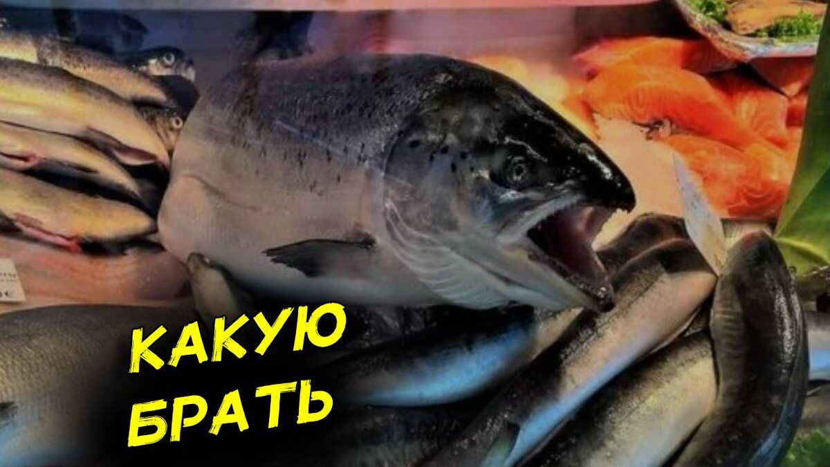 ��� ������� ����� ������� � ������ �������: ��� ����� �����