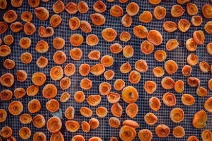 ����: �������� �������� � ���������������� ��� ��������