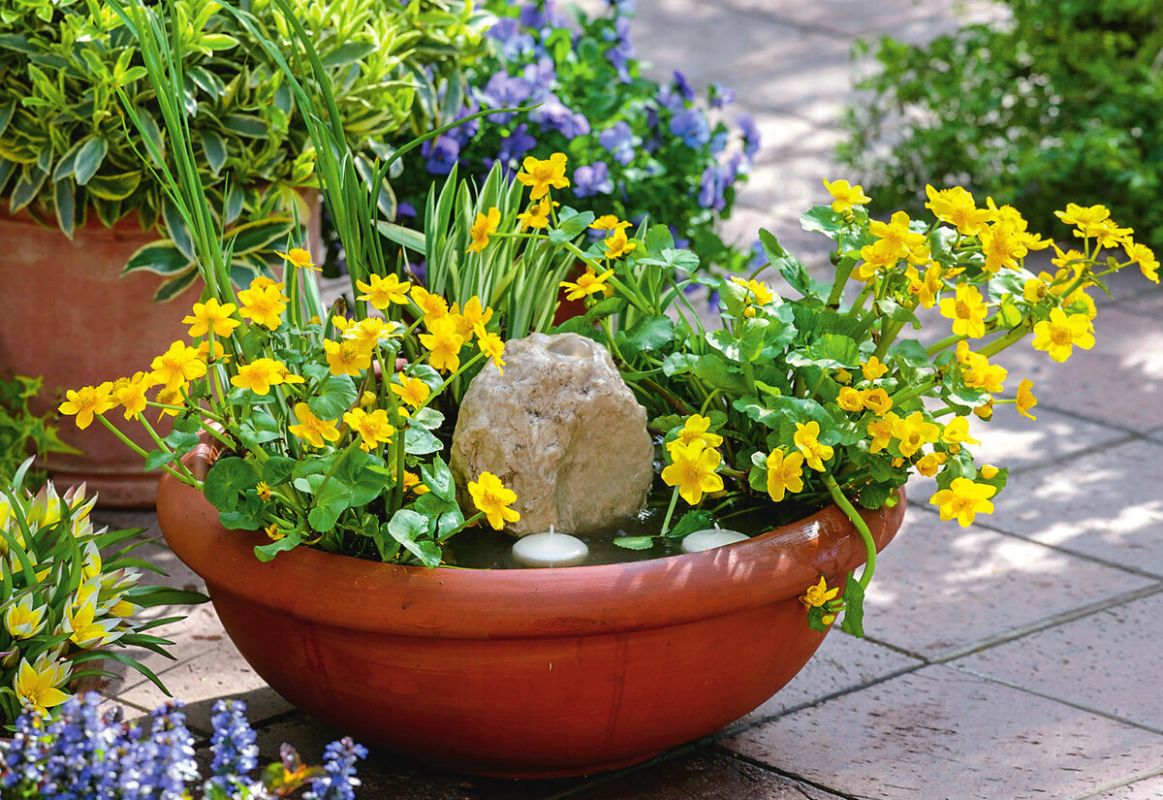 ��� ������� ��������� ������ �� ��������� �������: ������ � ���� ��� �����������