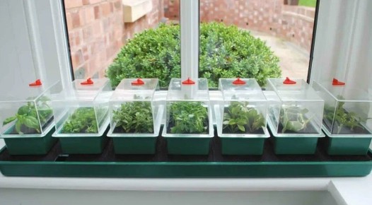 ������, ������� ����� ������ ������: ��� ��������� ����������� ������