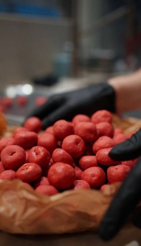 Кулинарное волшебство Twins Garden: конфеты с непредсказуемым вкусом