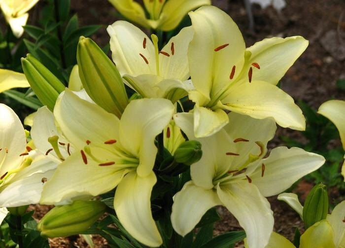 ��� ������� ����� � ����� ����� ��������: �������� ������ ��� ���������