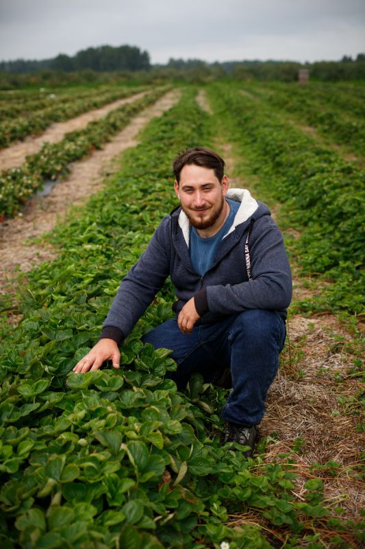 Секреты успешной обрезки гортензий: как избежать распространённых ошибок
