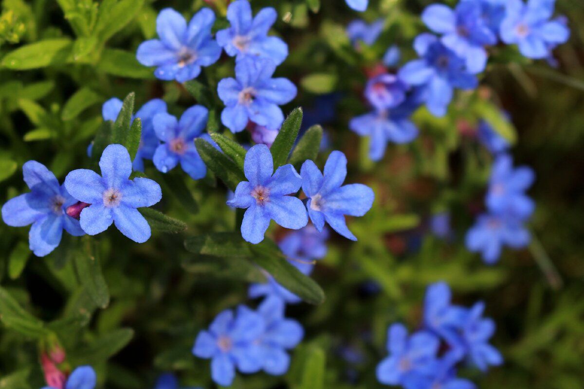 ��������: �������� ���� � ����