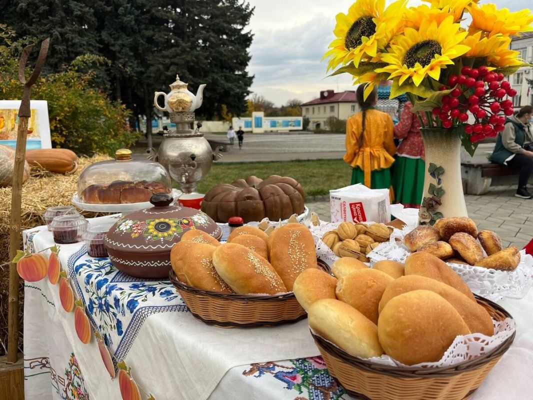 Сбор тыквы в Предгорном округе: урожай превысил 10 тонн