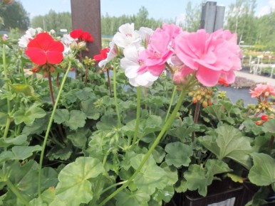 �� ������� � ������������ ���������: 10 ��������� ����������� ��� ������ �����