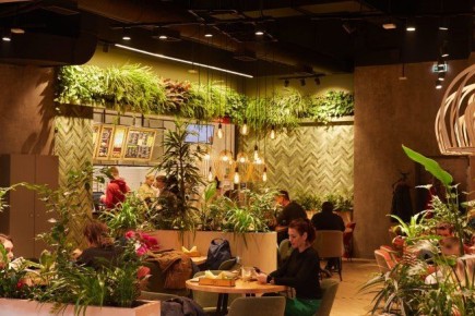 ������� ��������� ����� ������ ����������: ������ �� �������� � ��������