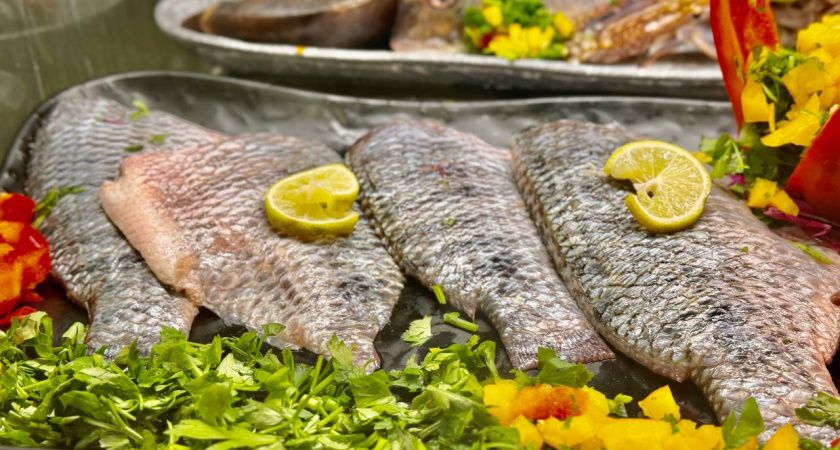 ��� ������ � ����� �������� ����: ��������� ������ �� ������ ����