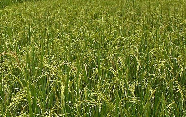 �� ���������� ������� ��� ����� ����� ����, �������� ��� ����������