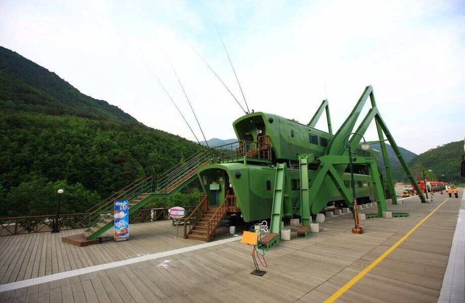 Кафе, которое завоевывает сердца: необычные кузнечики в Южной Корее