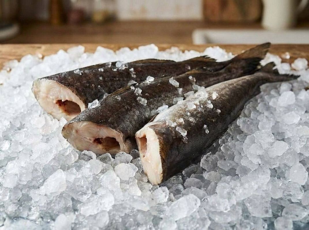 ׸���� ������: ��������� � ������� ������