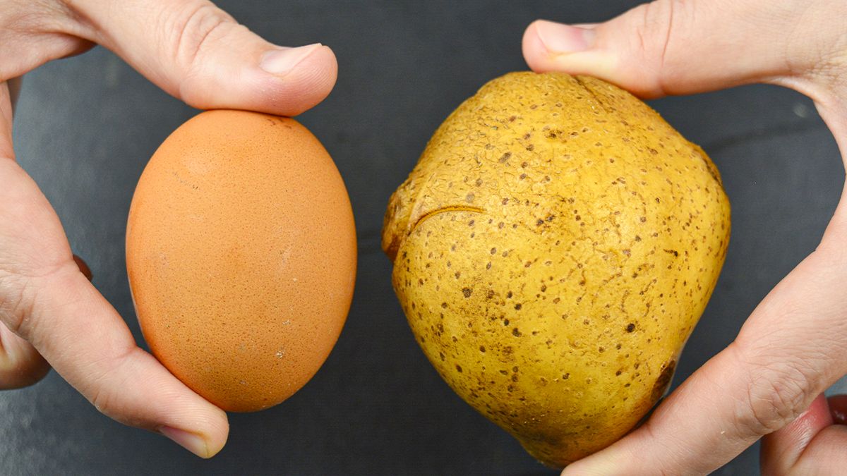 ��������� ��������� ������, ������� �������� ��� �����