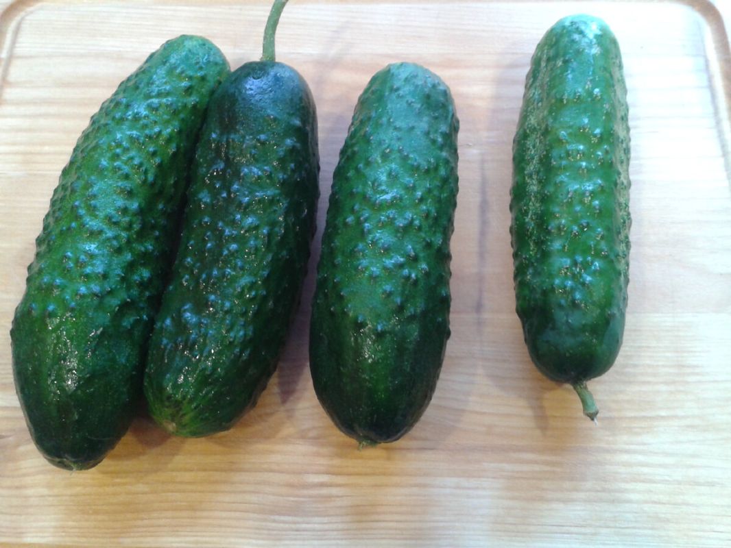 ������� ����������� ������ � ������������ ��������