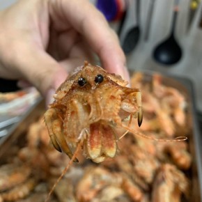 ��������� ���� ��������: �������� ������ � ���������� �����