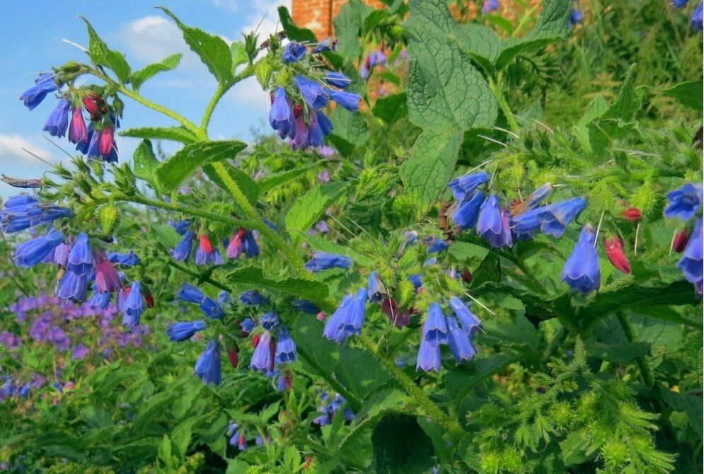 ������� �������������: ������������ �������� � ������� ����������