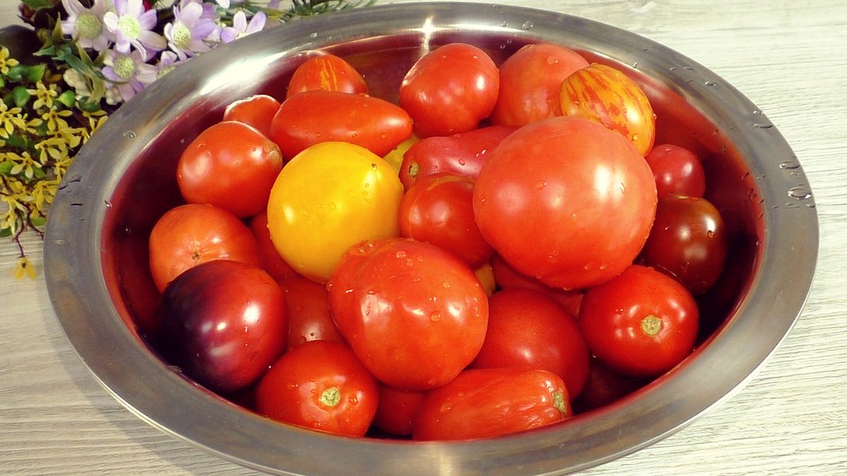 ������� �����-������� �������� �� ���� - ��������� ������ ��� ����� �����