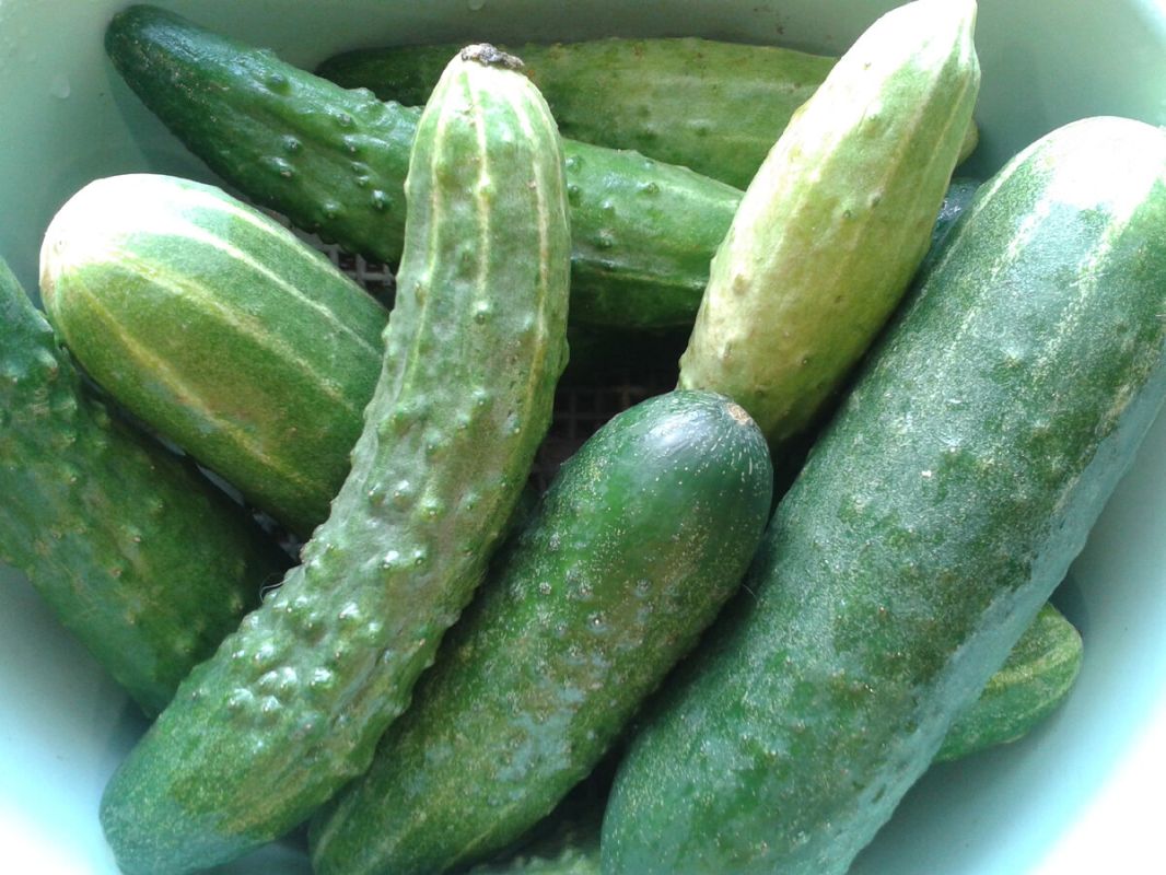 ��� ���������� ���������� ������ � ������� ���� �� ����