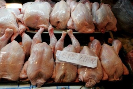 ��� ������, ���� ������ ������ �������: �������� ������