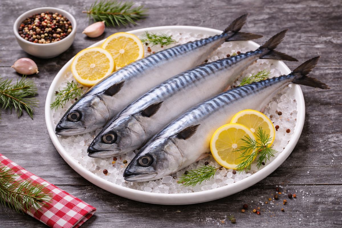 �������� ��� ������������ �����: �� ������� �� �������� ����