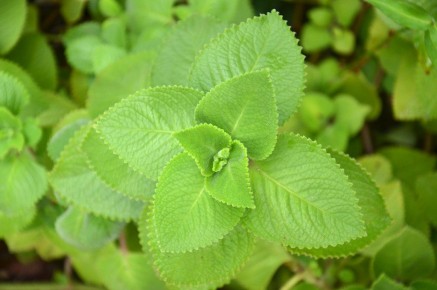 �������: ������� ��������� ������ ��� ����� ����