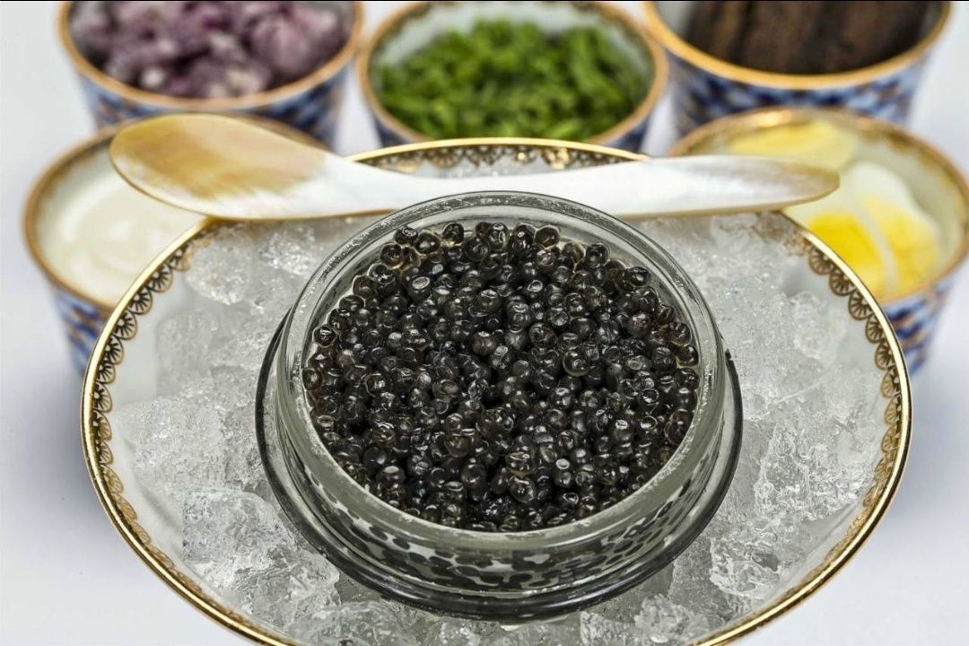 ��������� ���� � ���������: 50 ���� ���� � ����������