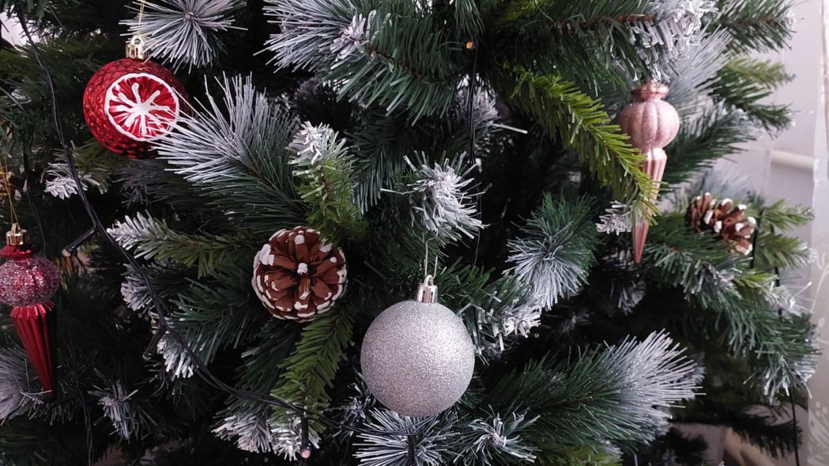 ������ ����� ���: ��� ����������� � ��� ����������� � ����