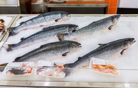 ������������� ������: ���� � ����������