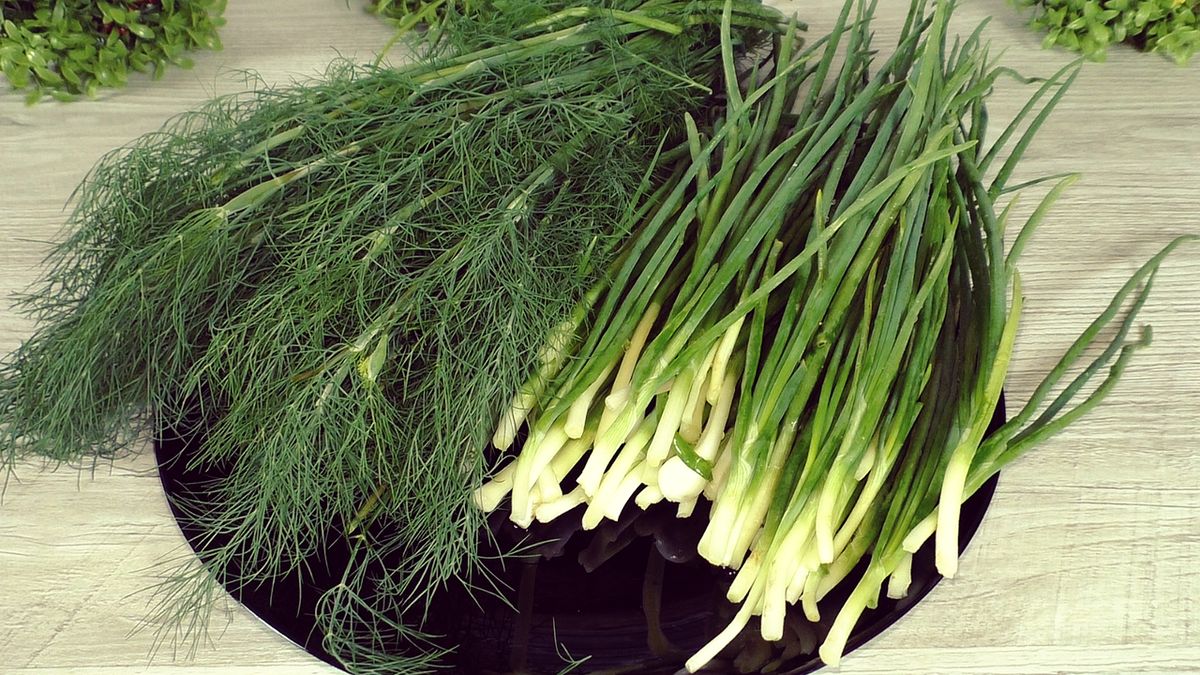 ��� ��������� ������ ������ ��� ������ ����: ������� �������� ���������