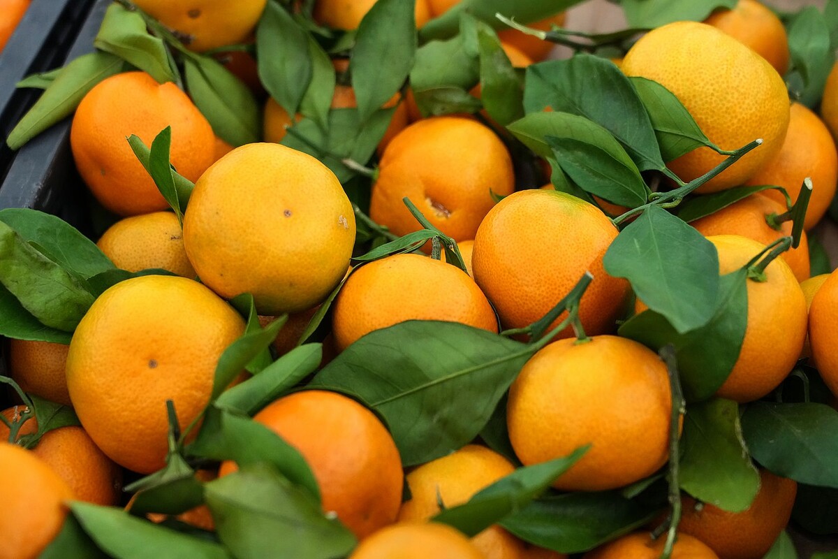 На что обратить внимание при выборе мандаринов: советы экспертов