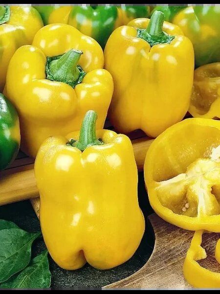 ������� � ��������� ����� ��� ������: ��� � ����� ���� ���������� ������