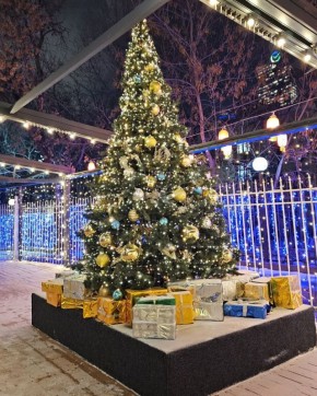 ���������� ��������� �� ����� ����: ��� �������� ����������� ����������