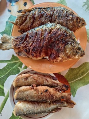 ��������� ��������: ������ � ������� ������� � ����