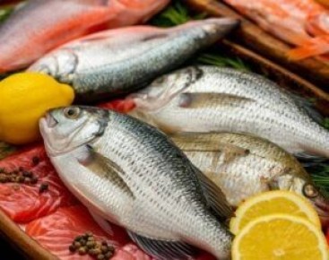 Новый метод проверки свежести рыбы за минуты: революция в гастрономии