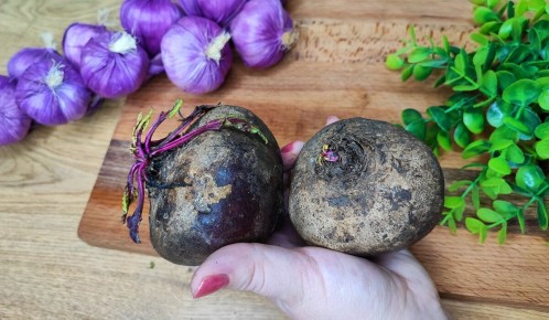 Яркий зимний свекольный салат с оригинальной заправкой