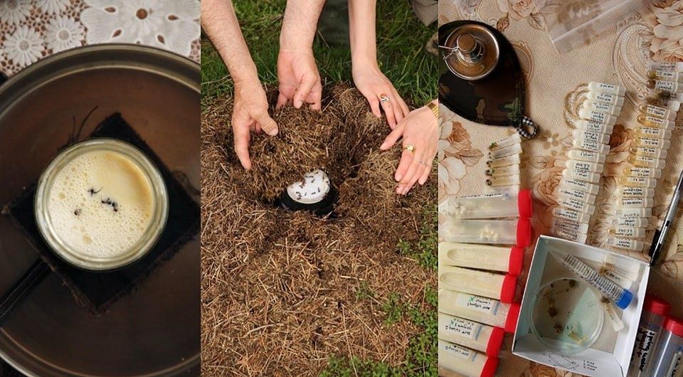 ������� ������ ����������: ������ �� ������ ����� ��������