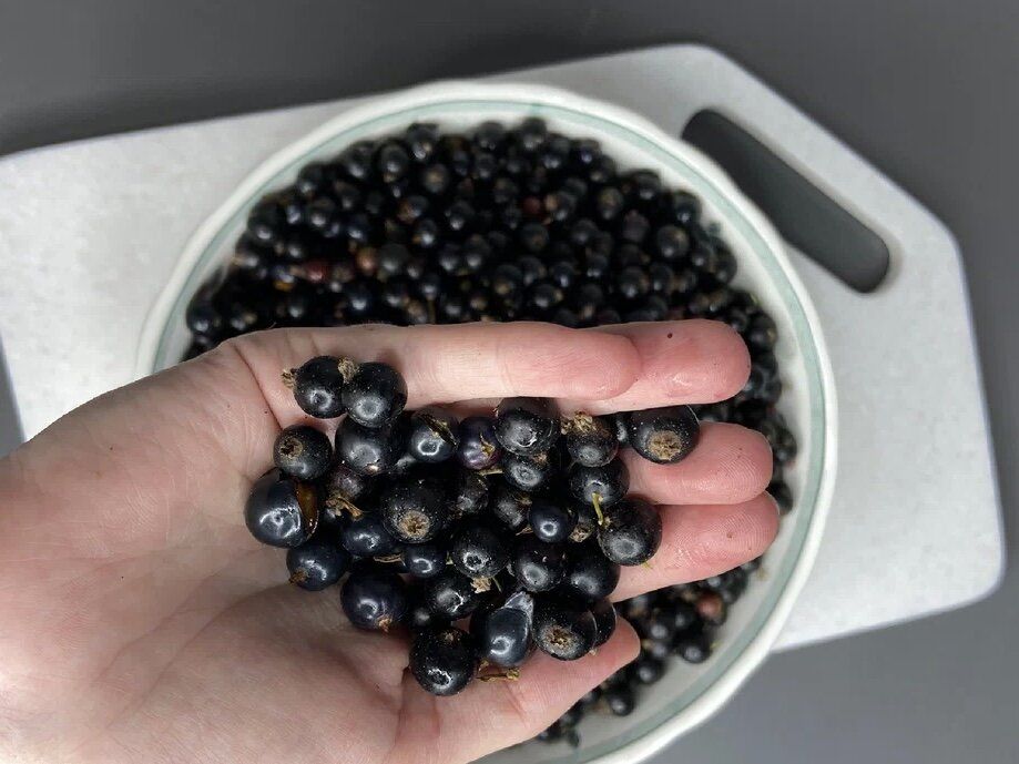 ������� ����� �� ������ ����������: ����������� ���������� ���� ������� ������