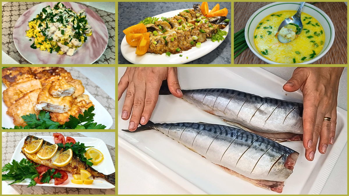 Лучшие рецепты быстрой рыбы: от супа до запеканки