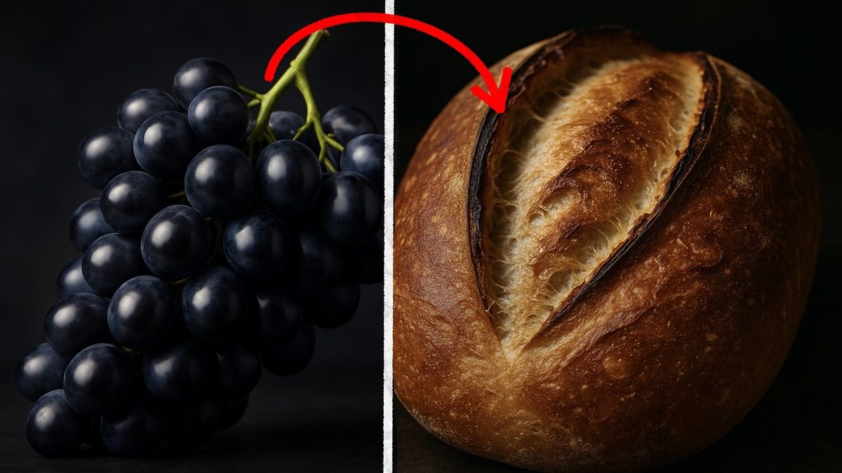 ����������� ����: ��� �������� ���������� ������