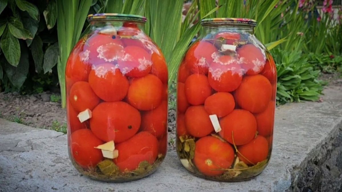 ��������� ��������� �� ����: ������� ������ ��� ������������