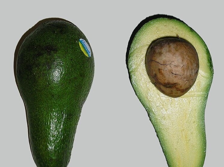 Авокадо: секрет здоровья сосудов и борьба с холестерином