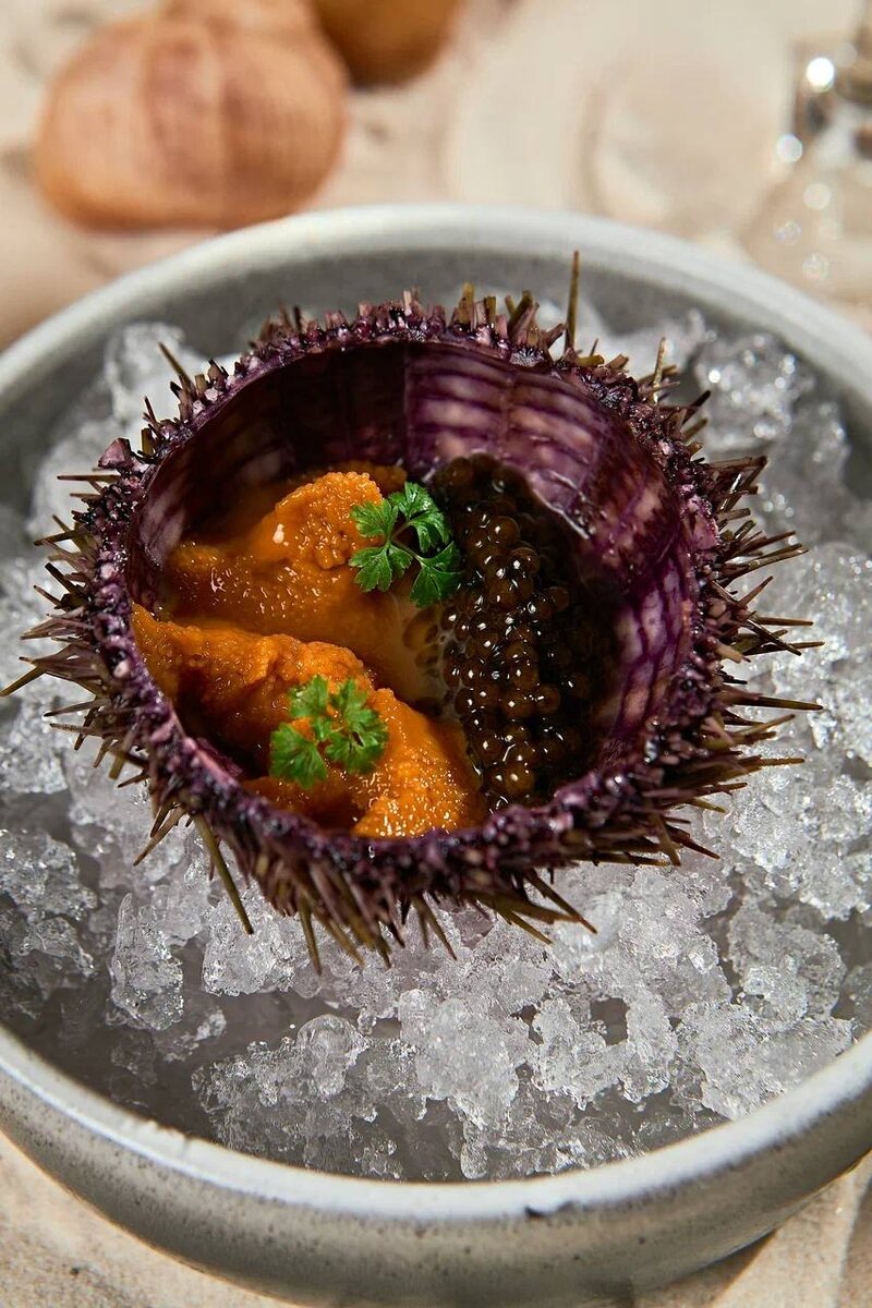 Откройте для себя морского ежа на уникальной дегустации в LODKA