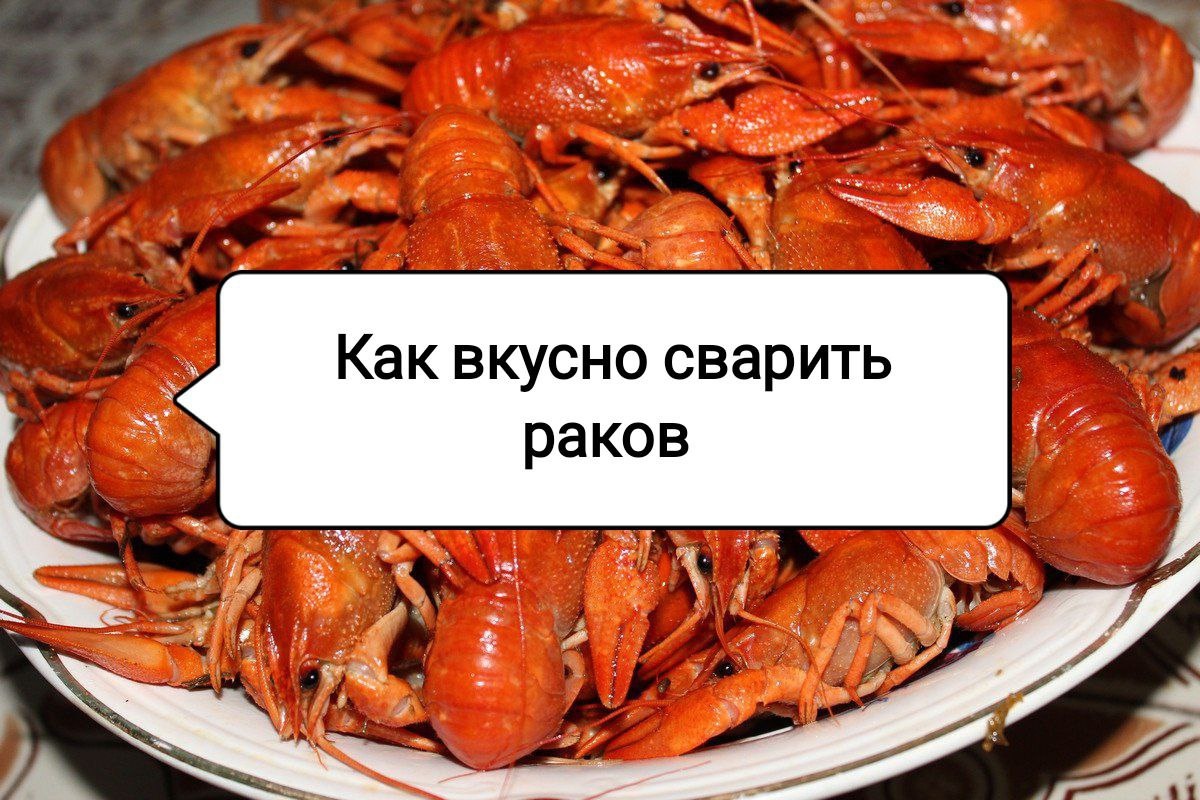 Секреты идеальной варки раков: советы для гурманов